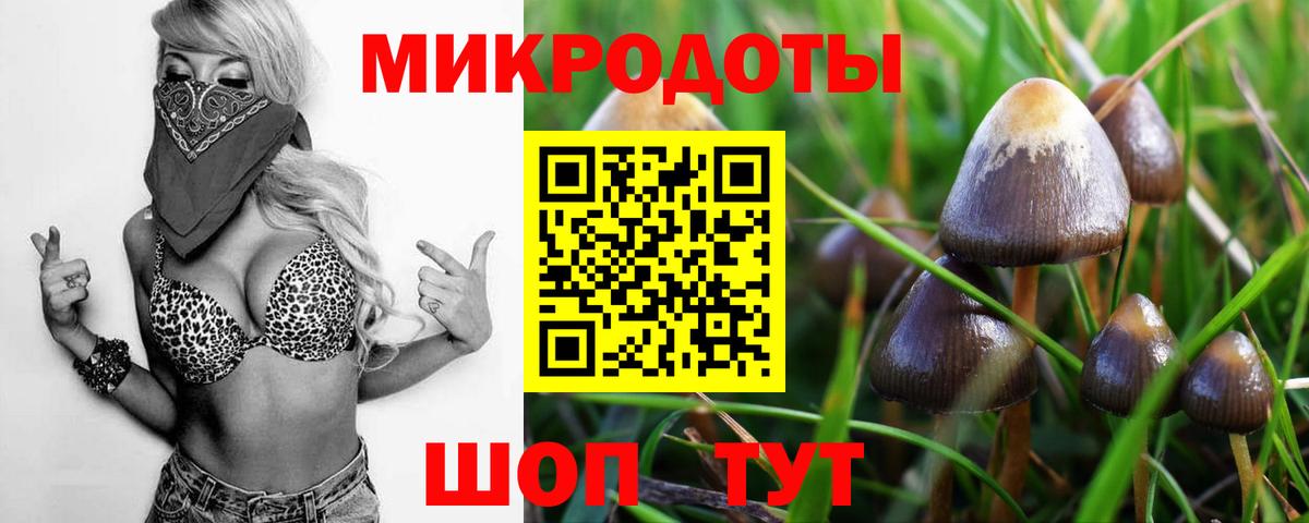 хочу наркоту  Вход с VPN  Галлюциногенные грибы MAGIC MUSHROOMS  Кубинка  Галлюциногенные грибы Cubensis 